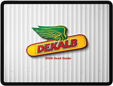 A DEKALB logo sits above copy that says ‘2026 Seed Guide’. The year ‘2026’ is in large yellow letters and the ‘Seed Guide’ is in smaller white text.